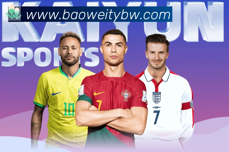 宝威体育服务体系