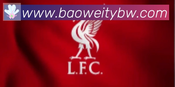 宝威体育合作伙伴